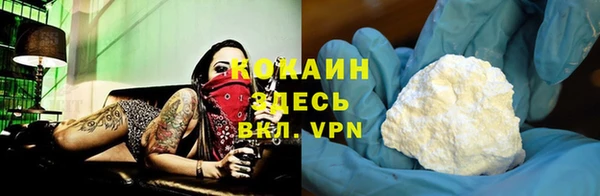 прущий лед Алзамай