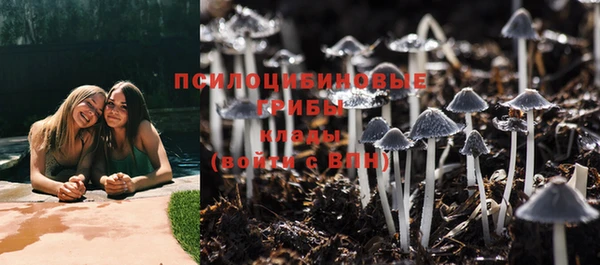 MESCALINE Ельня