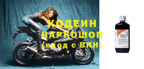 индика Елабуга